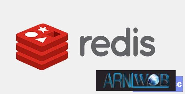 Redis Cache Pro Version 1252 – Enhance Your Data Performance