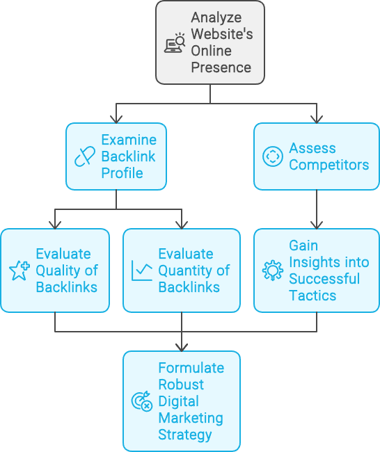 Backlink Profile and Competitor Analysis